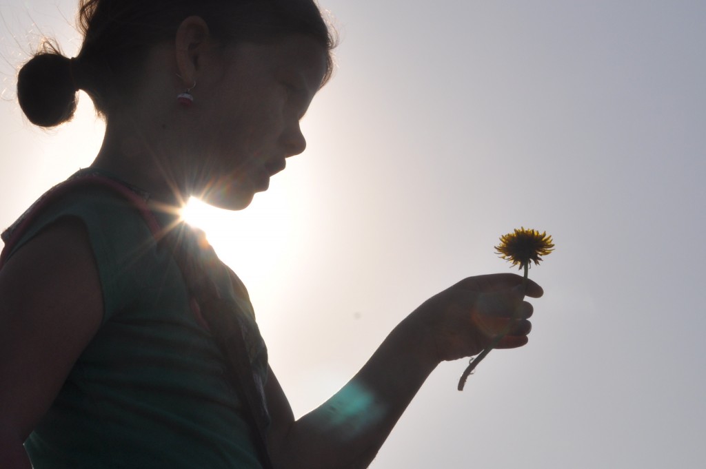 my flower girl, and her dandelion, silhouetted against the Iowa sunrise