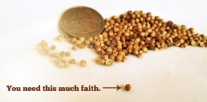 mustard seed, faith as small as mustard seed