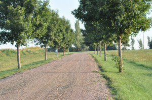 country driveway