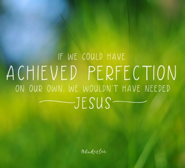 perfection - Jennifer Dukes Lee