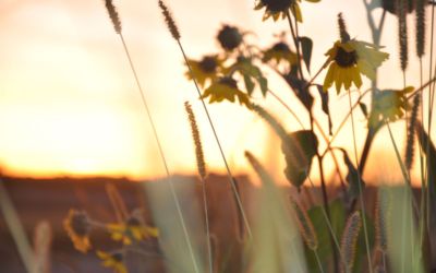 How To Have a Good Morning and Start with Hope