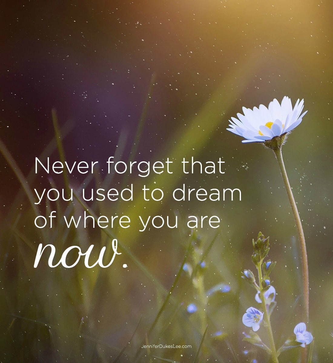 Where You Are Now
