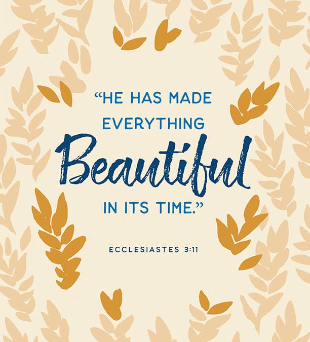 Everything Beautiful