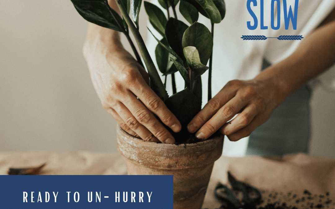 Study Sign Up Post 7