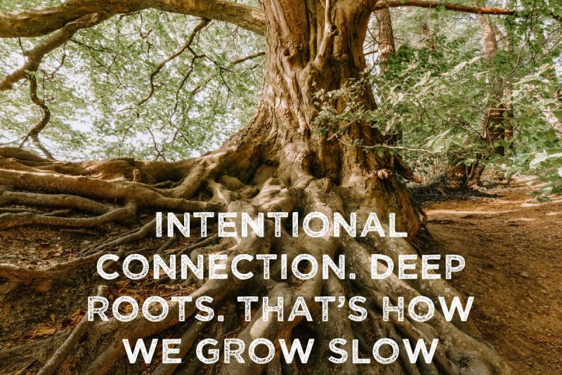Deep Roots Jennifer Dukes Lee Deep Roots Jennifer Dukes Lee