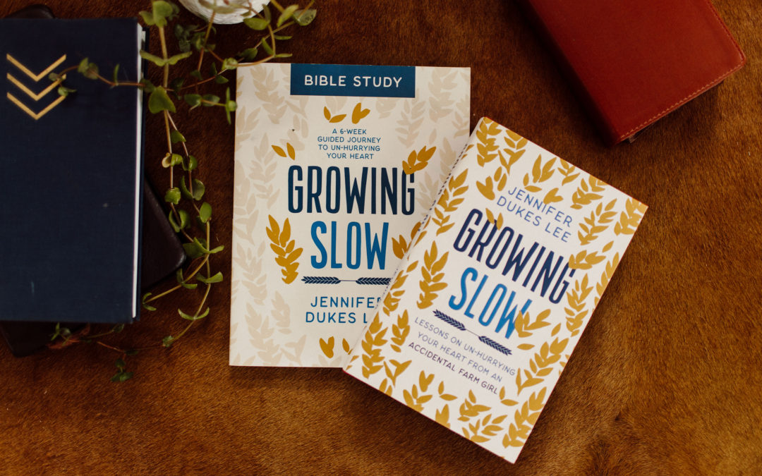 Book & Bible Study