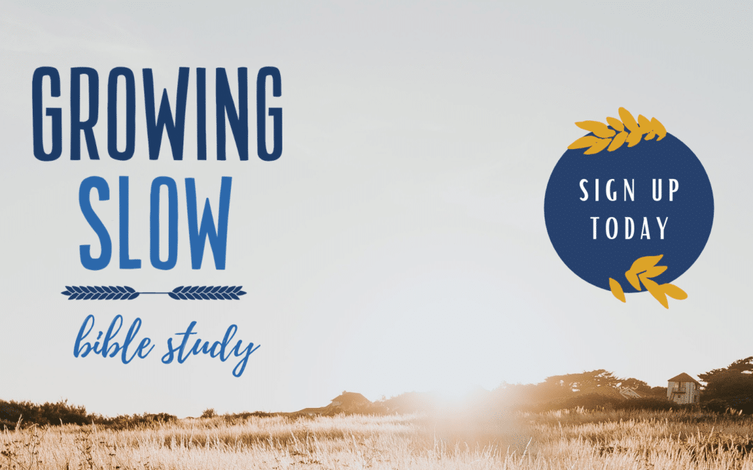 Facebook Cover Sign Up 3