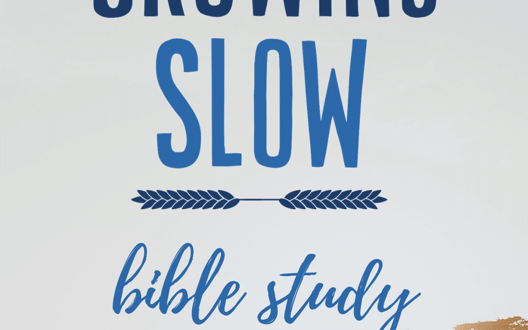 Study Sign Up IG Story 4