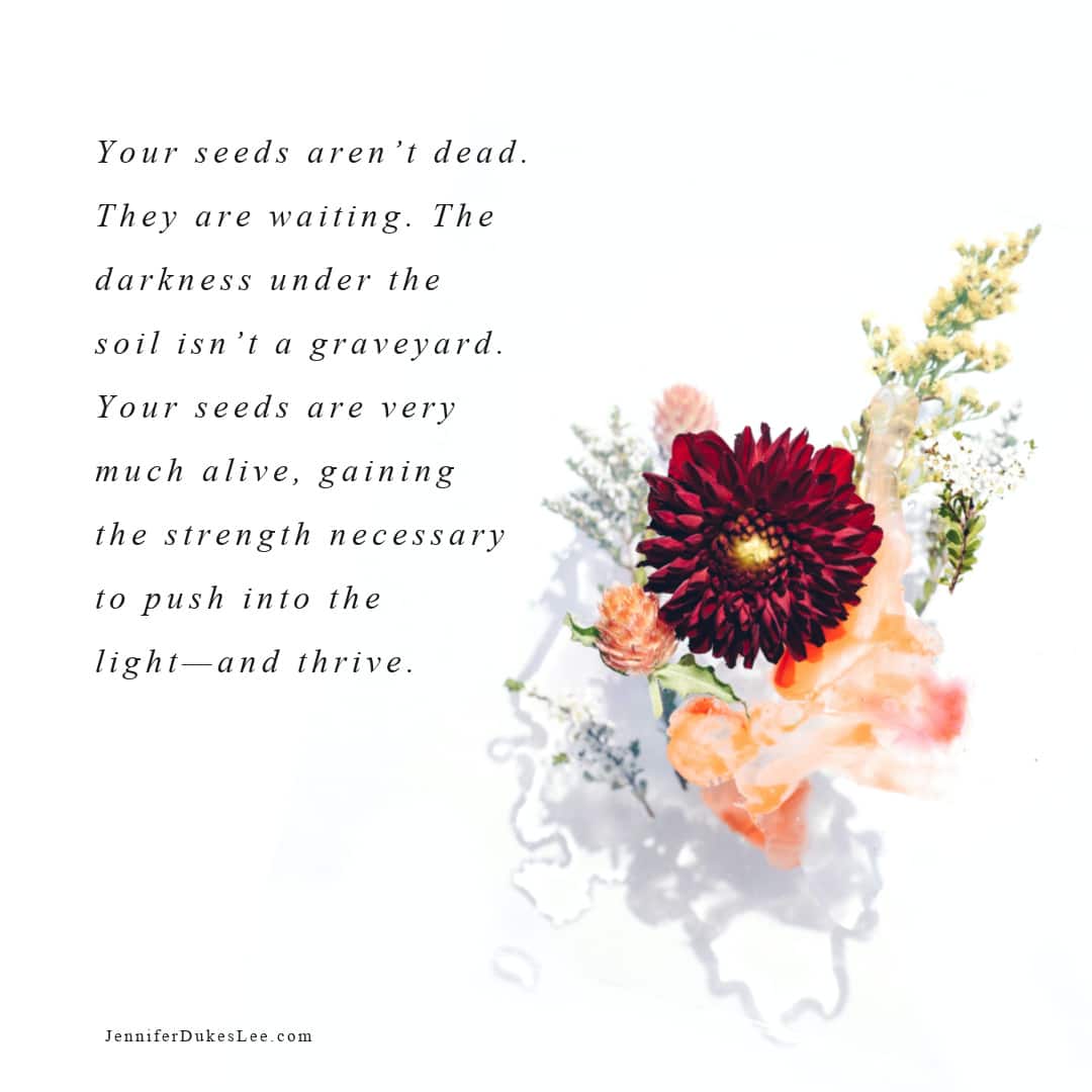 Soil is Not a Graveyard