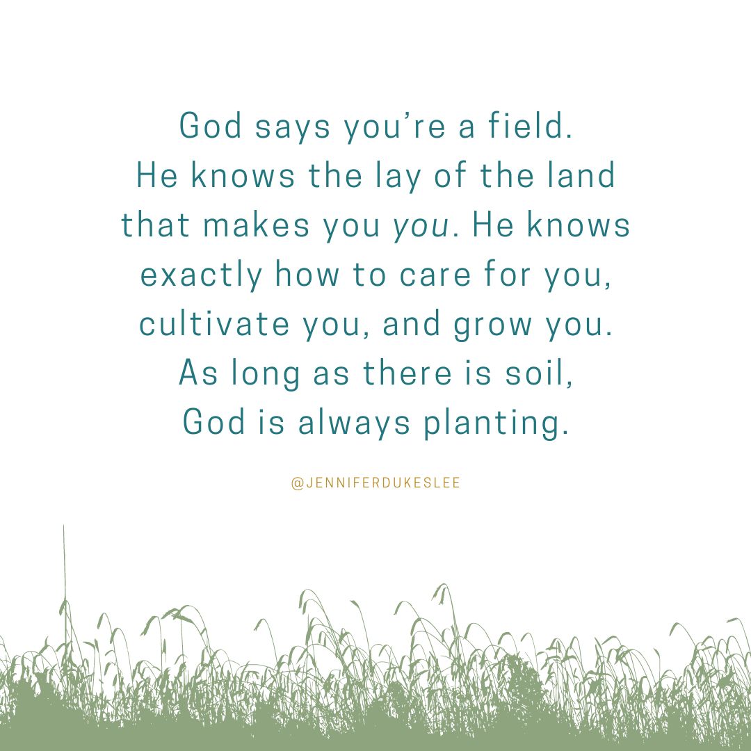You Are a Field
