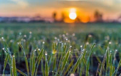 1 Simple Tuesday Morning Prayer for When You Need Hope