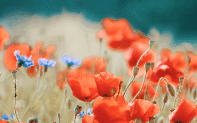 Early Morning Prayer to Calm Your Racing Mind Now