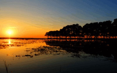 Wednesday Morning Prayer: A Simple Way To Reset Mid-Week