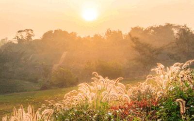 This Is a New Morning Routine Checklist That Actually Works