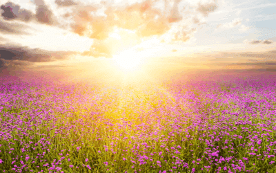 7 Powerful Morning Scriptures to Start the Day Out Better