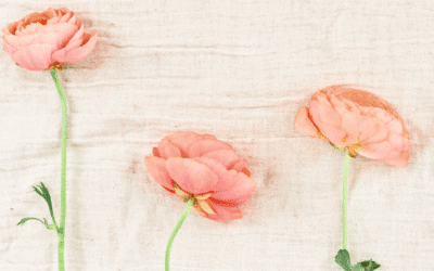 A Good Morning Christian Prayer To Overcome Anxiety Today