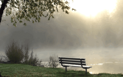 Thursday Morning Prayer for the One Discouraged Right Now