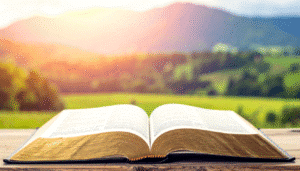 Here are 10 beautiful morning blessings from God to refresh your soul. (Jennifer Dukes Lee quotes about morning)