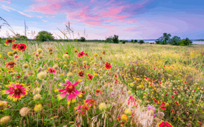 Sunday Morning Prayer: One Reliable Way to Revive Faith