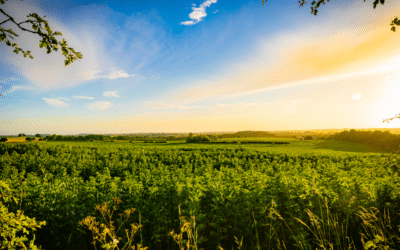 A Quick Saturday Morning Prayer to Make You More Grateful