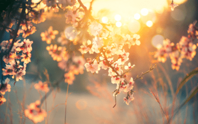 A Morning Prayer for Today: The Best Fresh Start